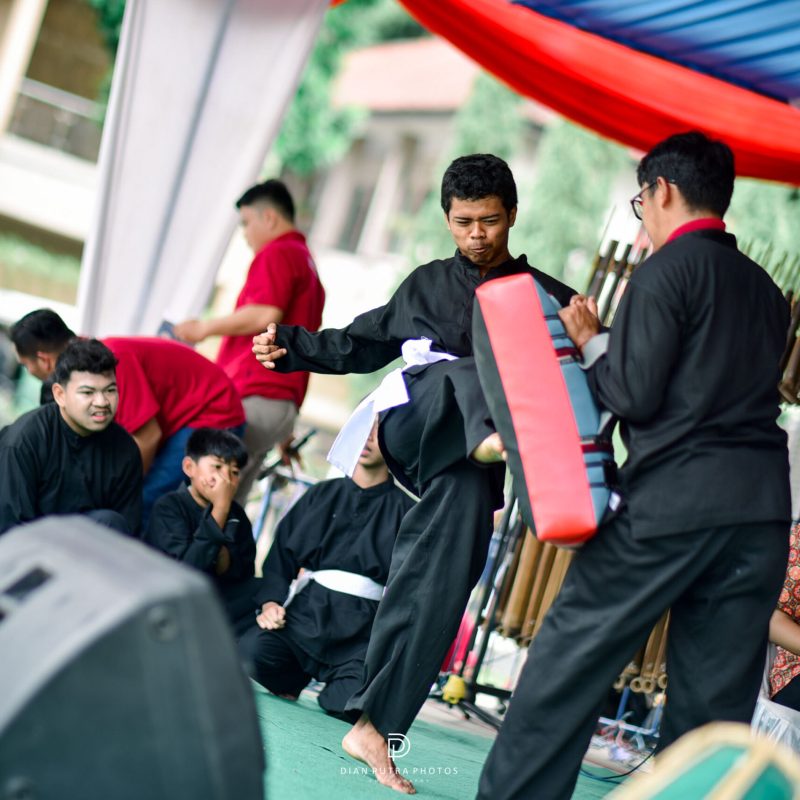 Pencak Silat